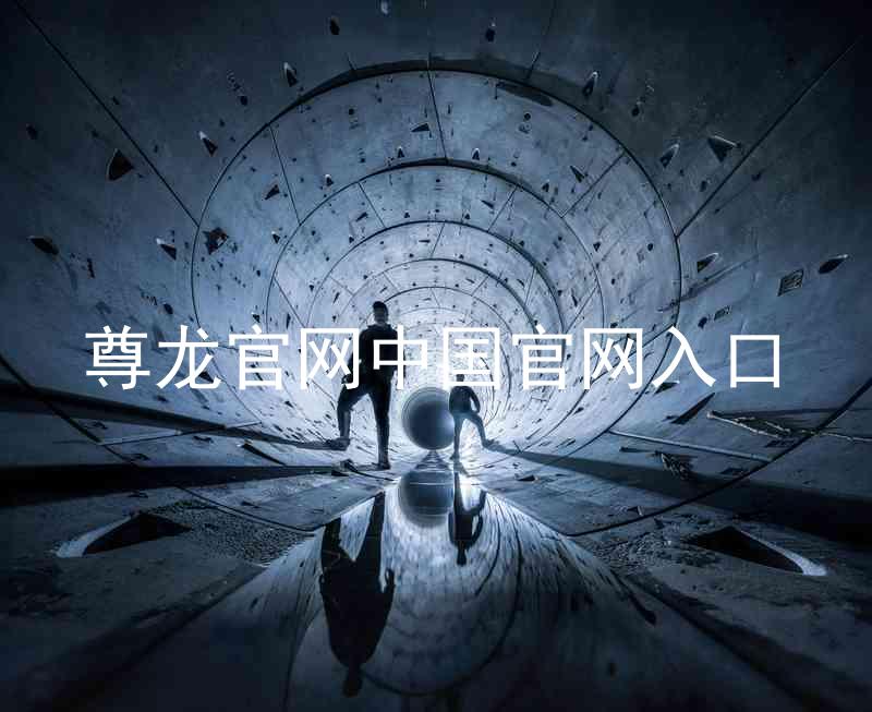 尊龙官网中国官网入口
